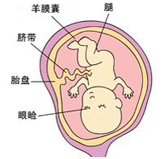 blob.png